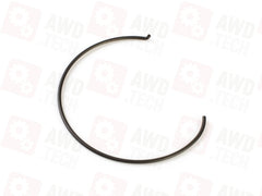 A4412620093 Molla circolare per VG150/VG150 E