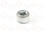 WHT001972 Plug (for BW4430)