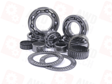 Bearing Kit (for ITC PLA/DCD)