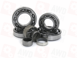 Bearing Kit (for DCS)