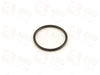 27107593451, 673002350 O-ring di tenuta (per ATC350/ATC35L/ATC450/ATC45L/Hyundai ATC/Maserati ATC/PL72 ATC)